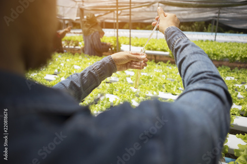 Young farmer hydroponics is monitoring the quality of water used to grow crops.