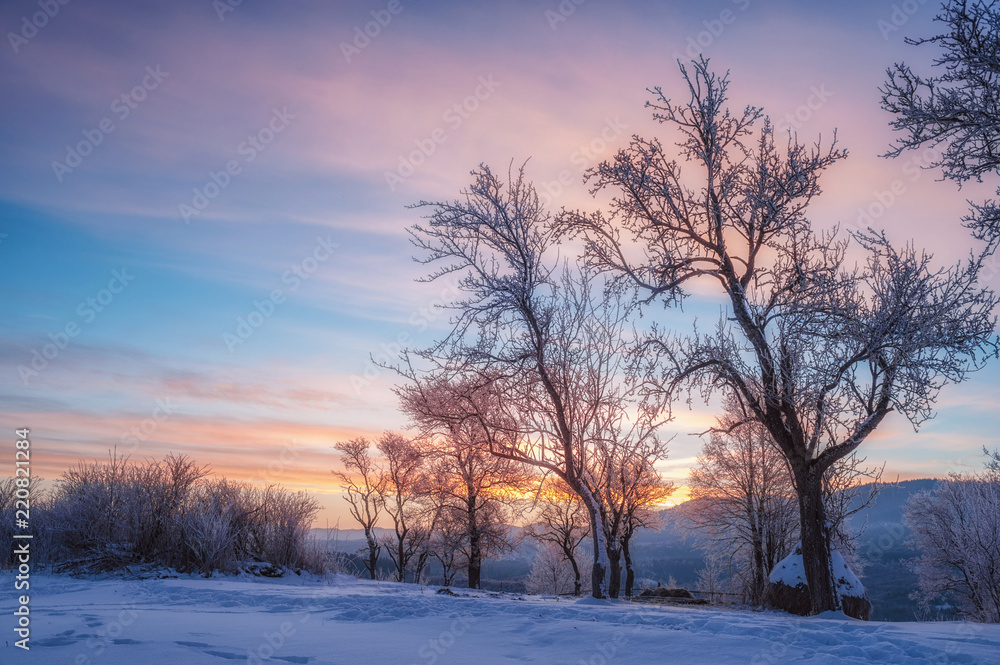 trees covered with snow and mountane on horizon. winter landscape trees covered with snow and mountane on horizon. winter landscape