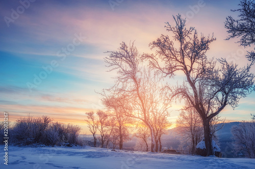 amazing winter landscape. natural background with sunny tree in mountain © ver0nicka