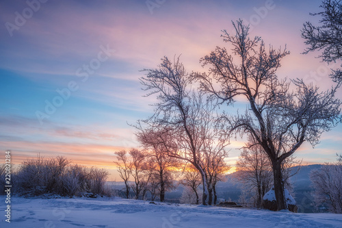 trees covered with snow and mountane on horizon. winter landscape photo