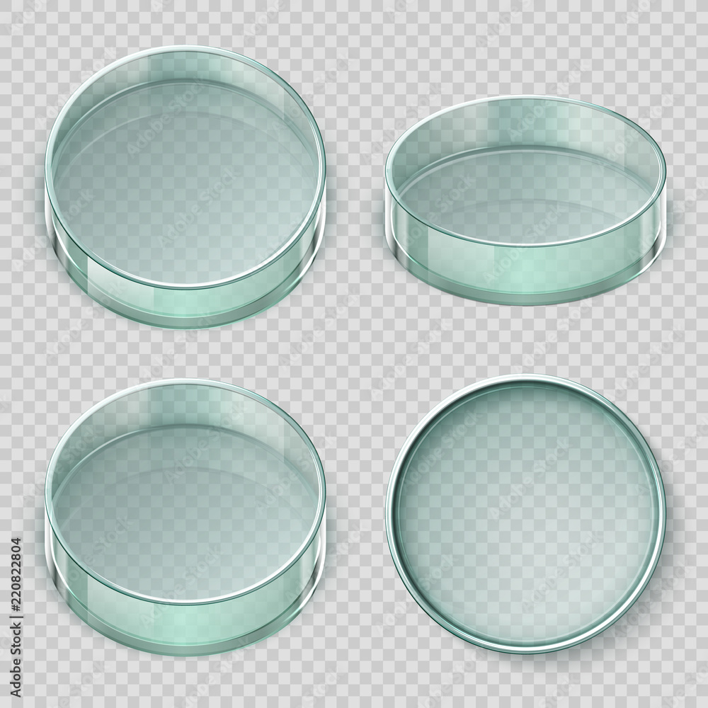 Empty glass petri dish Biology lab dishes vector illustration isolated Empty glass petri dish Biology lab dishes vector illustration isolated
