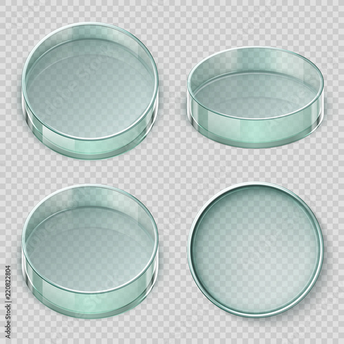 Empty glass petri dish. Biology lab dishes vector illustration isolated on transparent background. Lab glass for test, dish petri, medical glassware