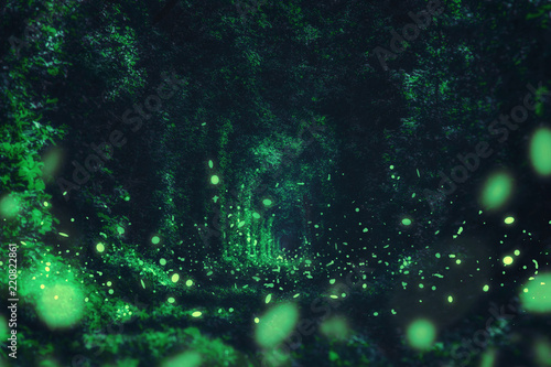 Fireflies in the wild forest. famous romantic place called Tunnel of Love, Klevan, Ukraine. natural summer (spring) background (collage)