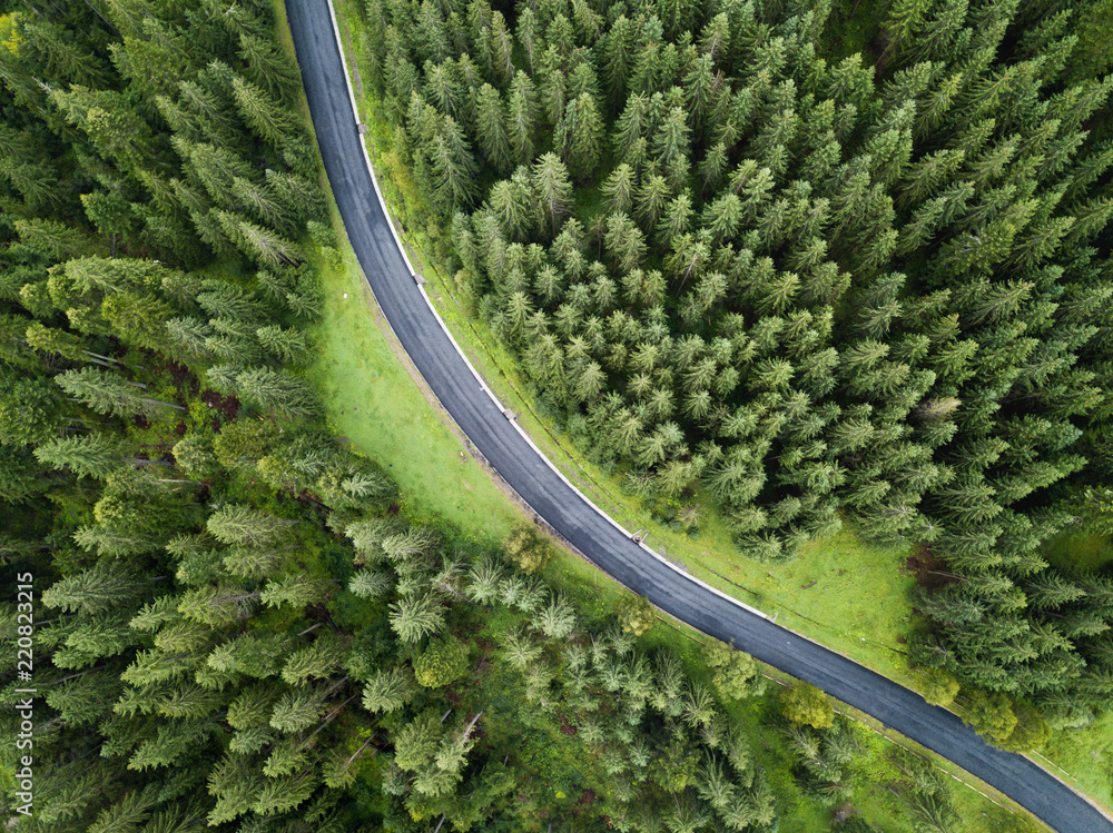 arial veiw of empty road in green forest. drone shot