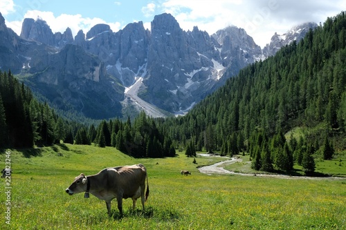 paesaggio montagna mucca prato verde alberi foglie fiume bosco foresta estate parco all'aperto natura alpi pascolo fattoria bestiame