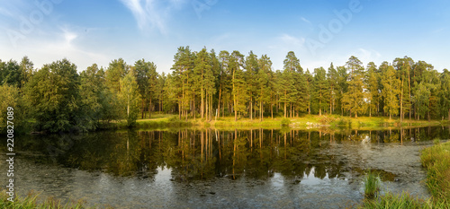 осенняя панорама с прудом и соснами на берегу, Россия Урал, сентябрь