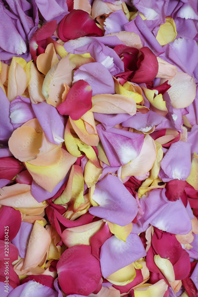 Fleur mariage Fleur mariage