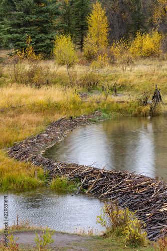 Beaver Dam