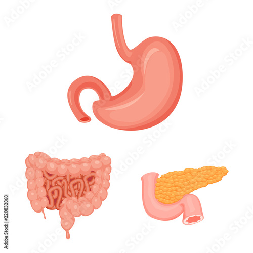Isolated object of body and human sign. Set of body and medical stock symbol for web.