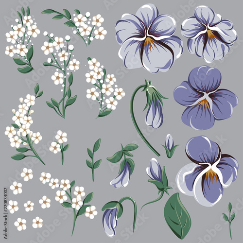 Set for creating floral frame with viola flowers