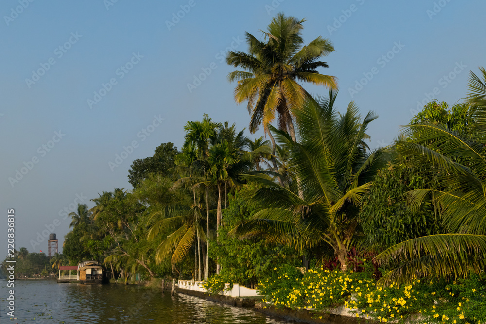 Alappuzha boat ride view at evening