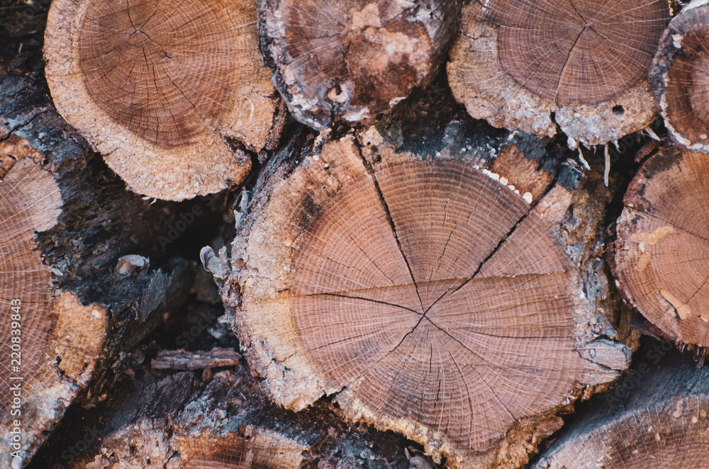 Wood Wood