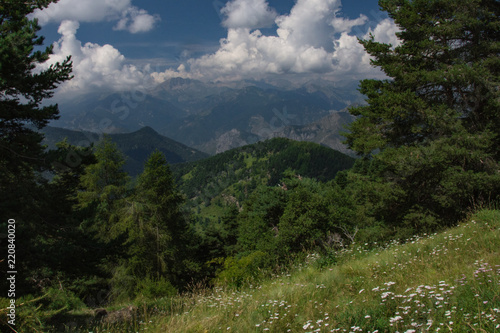 Valle Argentina, Monte Saccarello - Liguria (Italia) © Federica