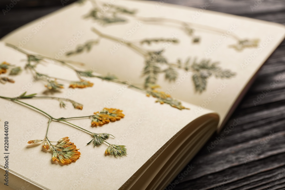 Fototapeta premium Wild dried meadow flowers in notebook on table, closeup