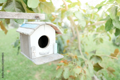 Little Birdhouse in Garden of Thailand