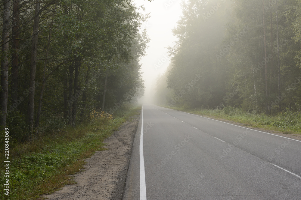 the road in fog in the early autumn morning the road in fog in the early autumn morning