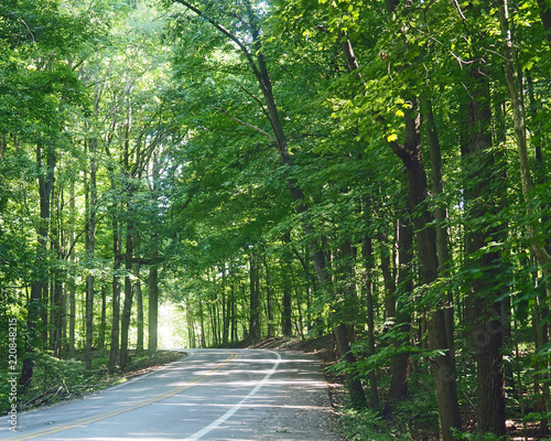 Road in the Park