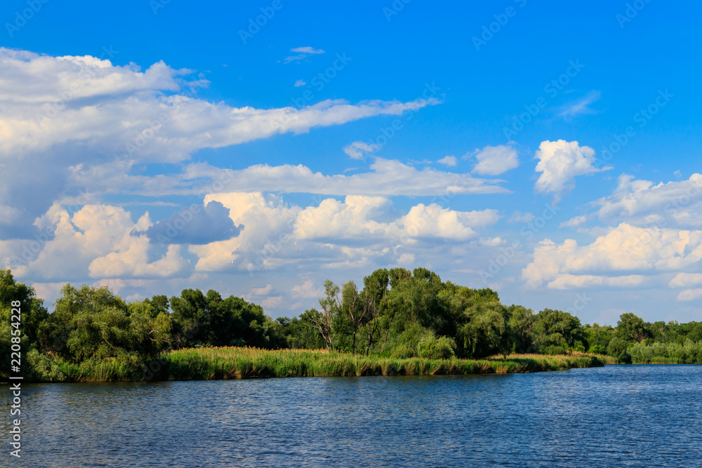 Summer landscape with beautiful lake, green trees and blue sky