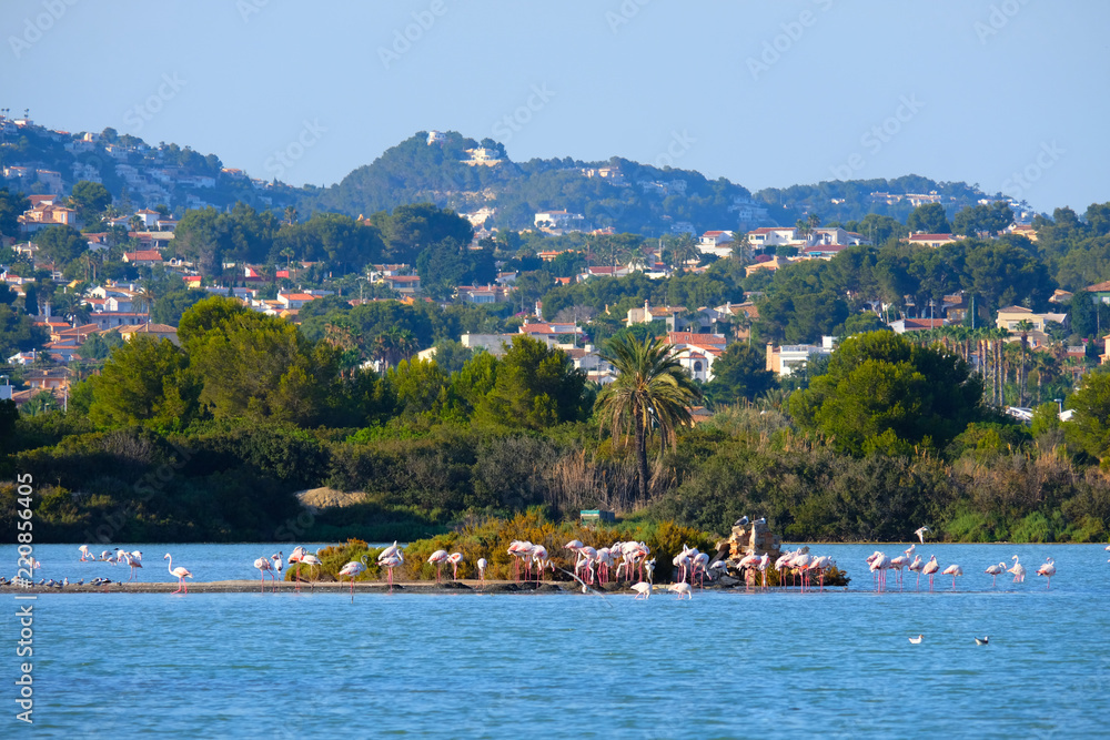 Fototapeta premium flamingo on an island in the middle of a lake against a backdrop of mountains