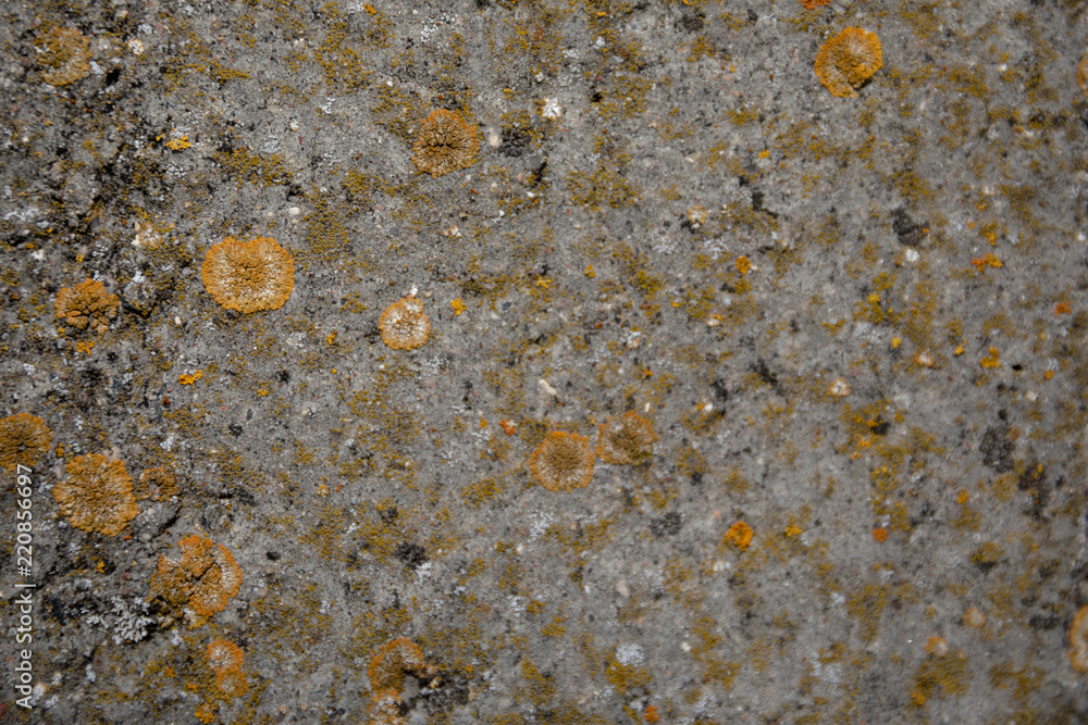 Old brown grunge concrete background Old brown grunge concrete background