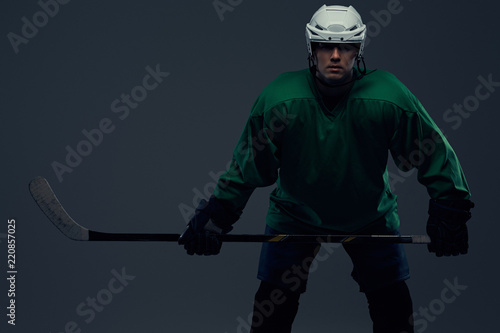 Canvas Print Portrait of a professional hockey player wearing full gear and a hockey stick on a gray background