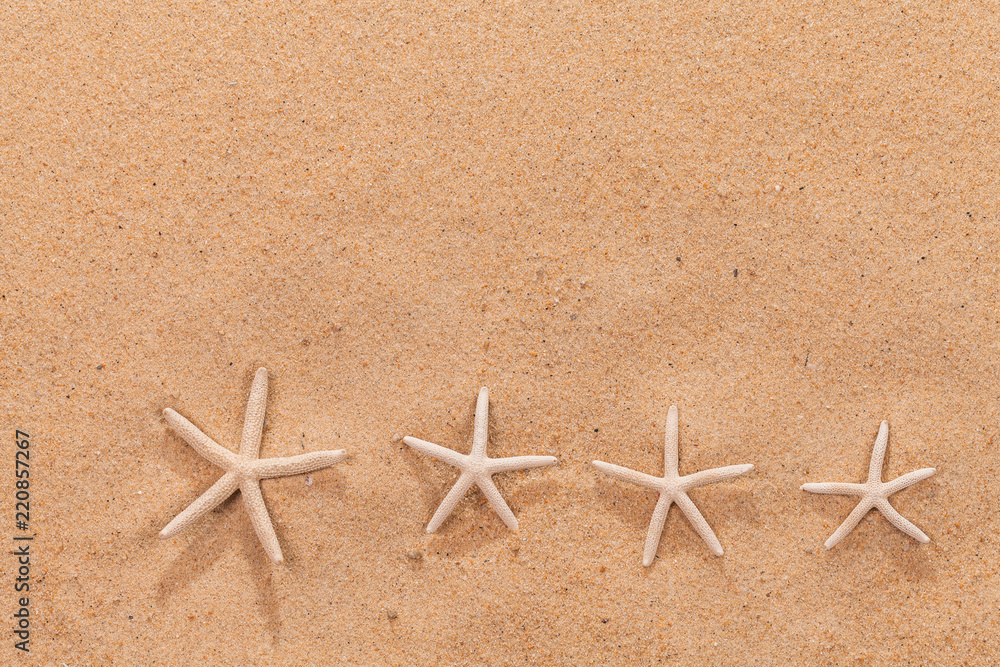 sandy beach scene in summer holiday vacation with starfish on sand and copy space sandy beach scene in summer holiday vacation with starfish on sand and copy space