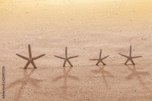 sandy beach scene in summer holiday vacation with starfish on sand and copy space