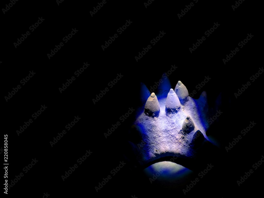 Naklejka premium Dried starfish is on the table. Dried sea inhabitant.