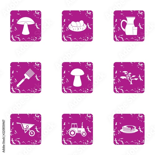 Private plot icons set. Grunge set of 9 private plot vector icons for web isolated on white background