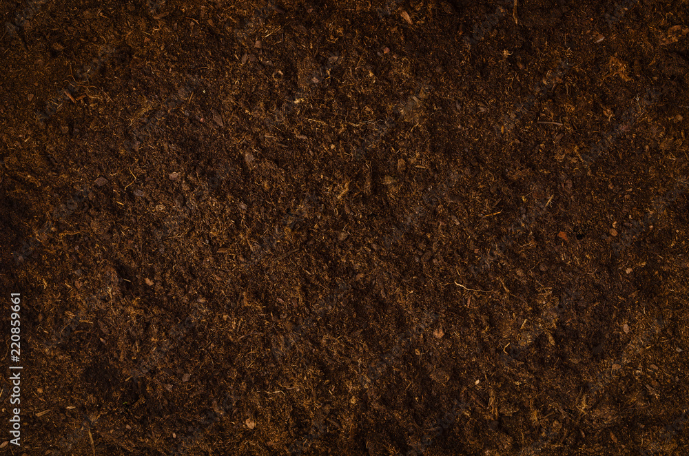 Fertile soil texture background seen from above, top view. Gardening or planting concept with copy space. Natural pattern Fertile soil texture background seen from above, top view. Gardening or planting concept with copy space. Natural pattern