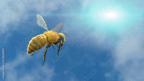 bee flying on sky background render 3D
 photo