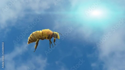 bee flying on sky background render 3D
 photo