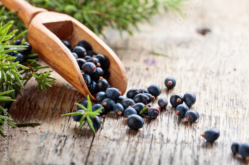 Juniper branch and wooden spoon with berries on a wooden table. photo