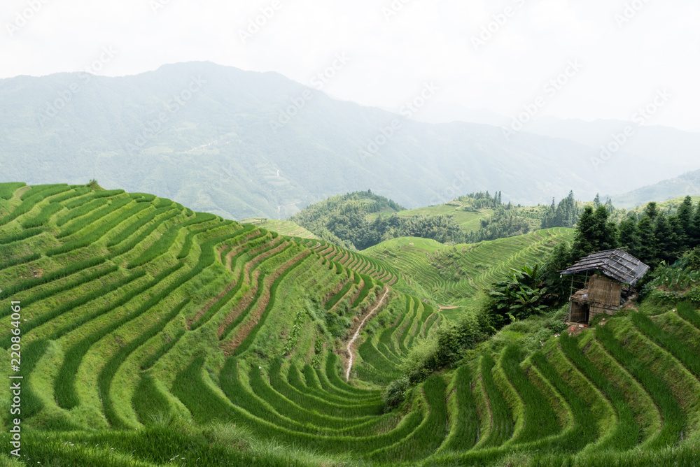 hut among the rice terraces in china
