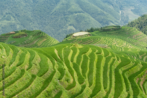 longji rice terraces in china © Per