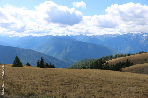 Olympic National park Mountains