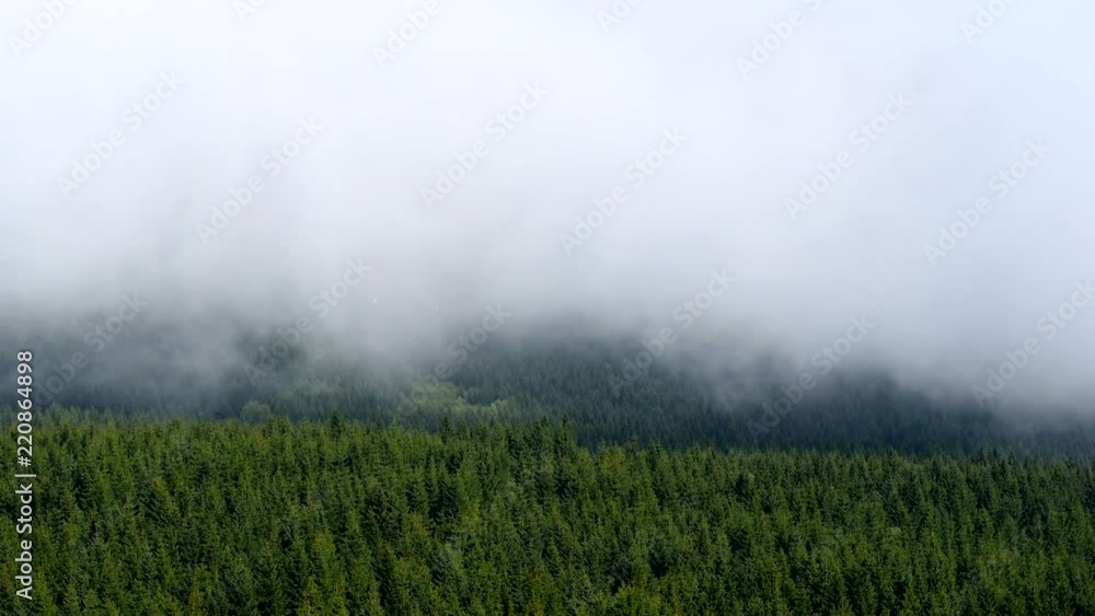 Autumn fog floats over the landscape among the trees. Autumn fog floats over the landscape among the trees.