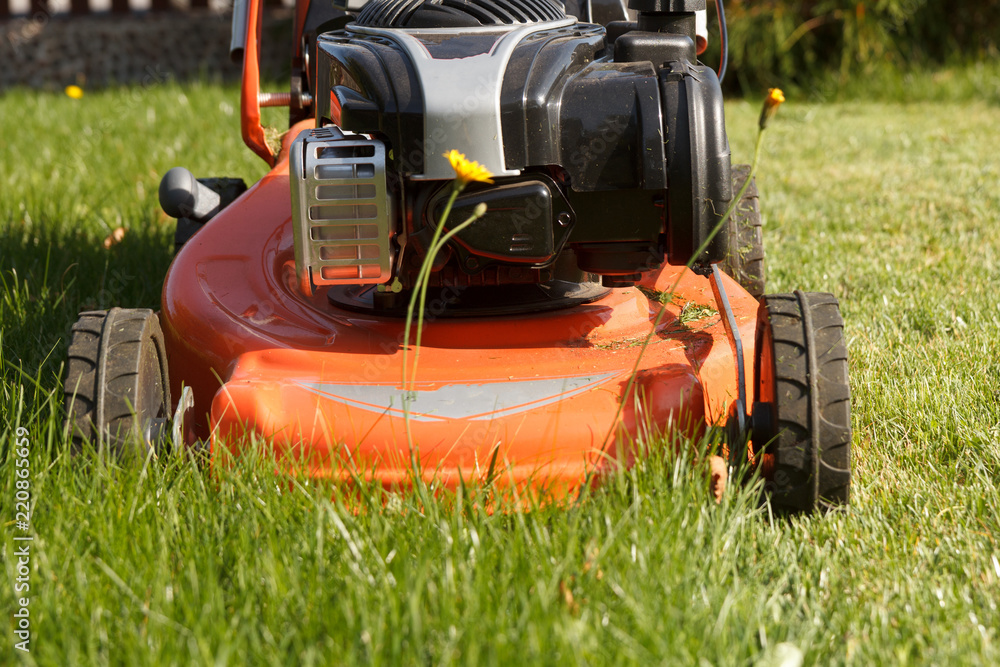 The red lawn mower mows the grass in the garden The red lawn mower mows the grass in the garden