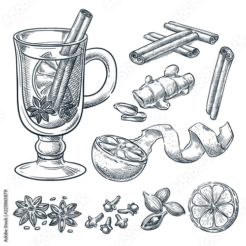 Mulled wine recipe, vector sketch illustration. Set of isolated hand drawn spices, ingredients.