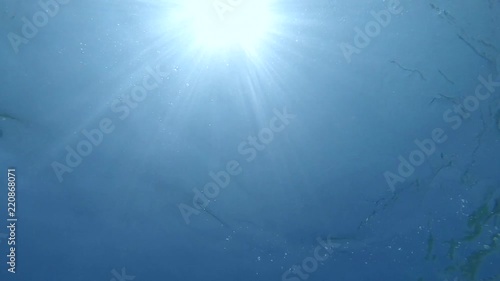 Sun from the bottom of the sea