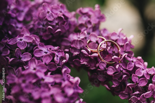 Beautiful wedding rings on a background of lilac