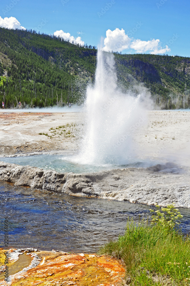 A small geyser in Yellowstone