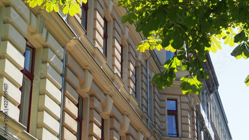 Photography Grünes Berlin: Altbaufassaden in Mitte, Straßenbäume