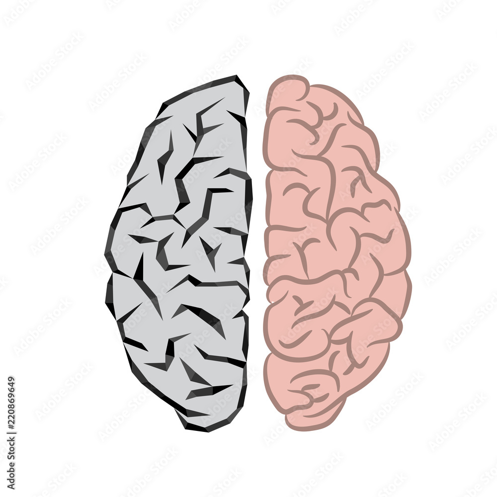 Human and robot brains Human and robot brains