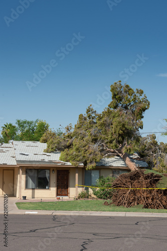 Tree Damage to Roof after Major Monsoon