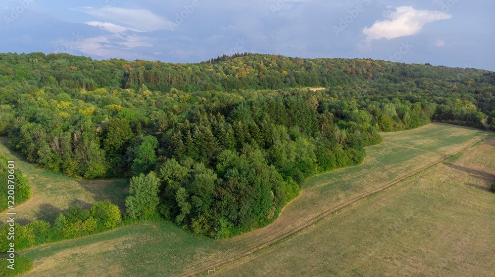 vue aérienne de champs et de forêts