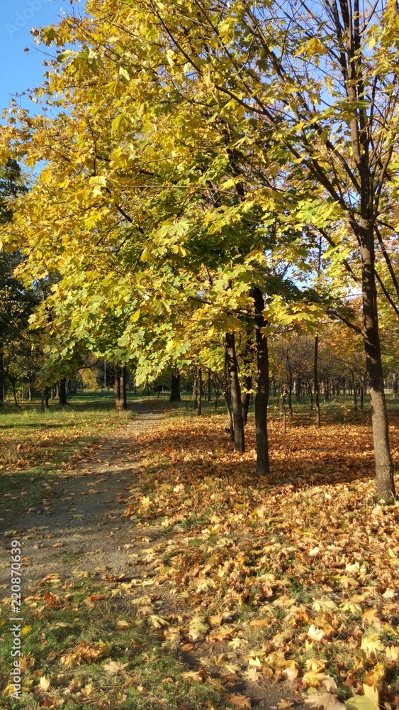 Autumn in all its glory Autumn in all its glory