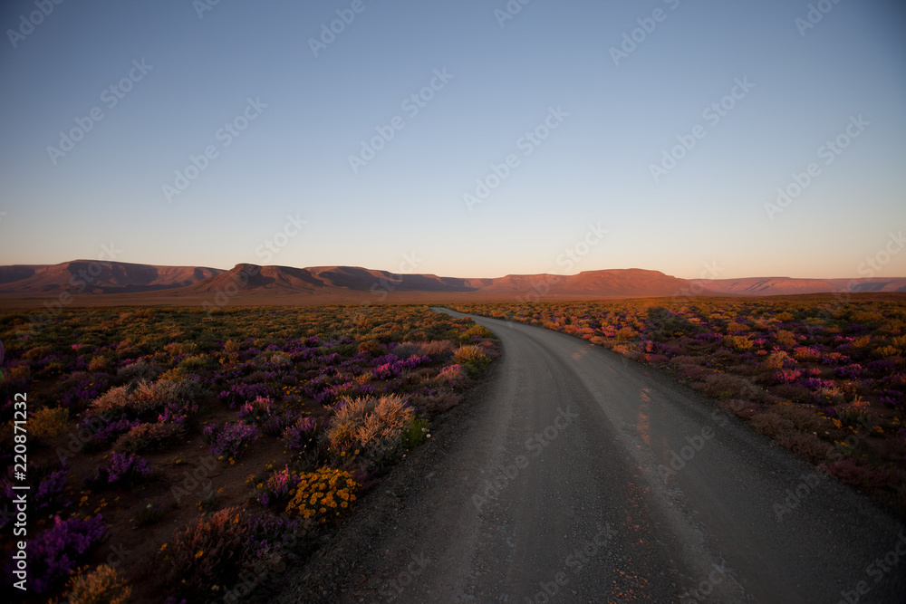 Naklejka premium Last light