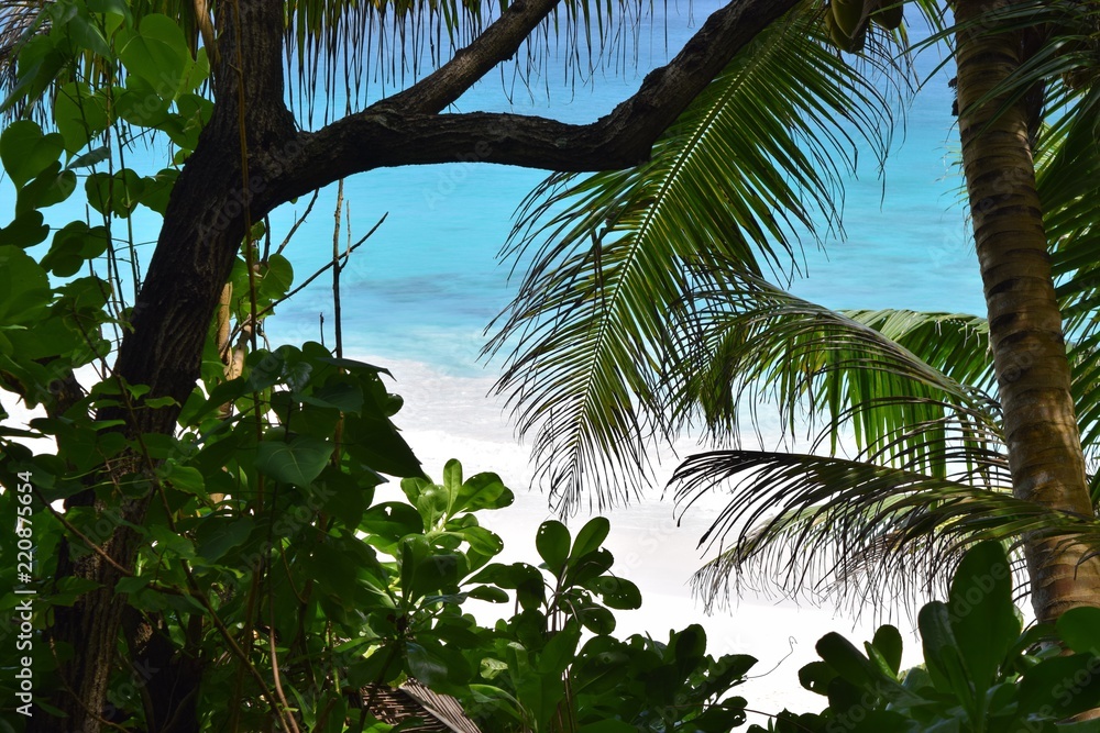Fototapeta premium Anse Coco 2