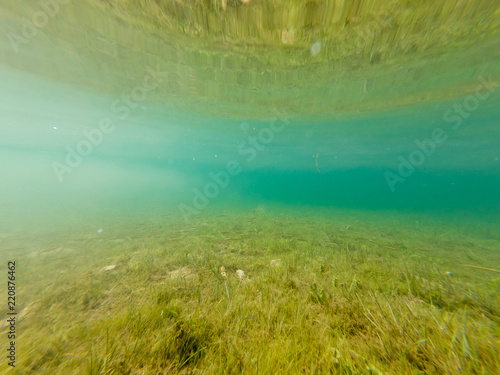 Underwater view of crystal clear forest lake.